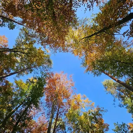 アパート Im Mueritz *